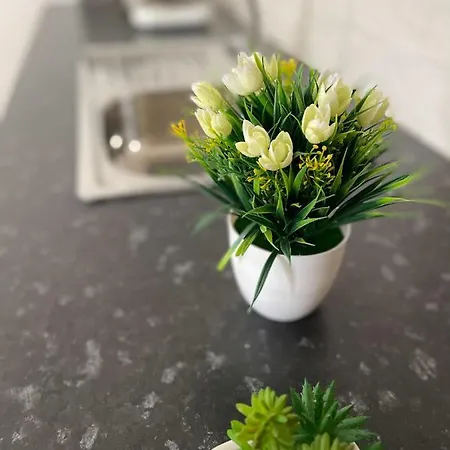 Apartman Little Place *